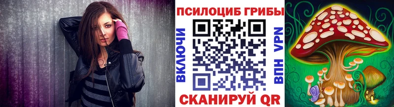 Галлюциногенные грибы Magic Shrooms  darknet какой сайт  Темников 