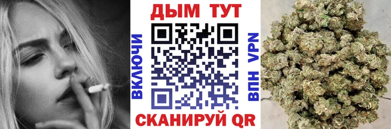 Бошки марихуана Amnesia  Темников 